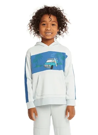 Chaser Kids Fleece Hoodie in Surf Van