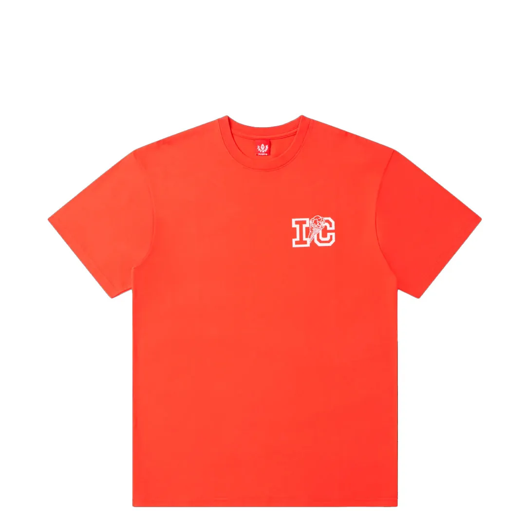 ICECREAM SKATEBOARDS SHORT SLEEVE TEE