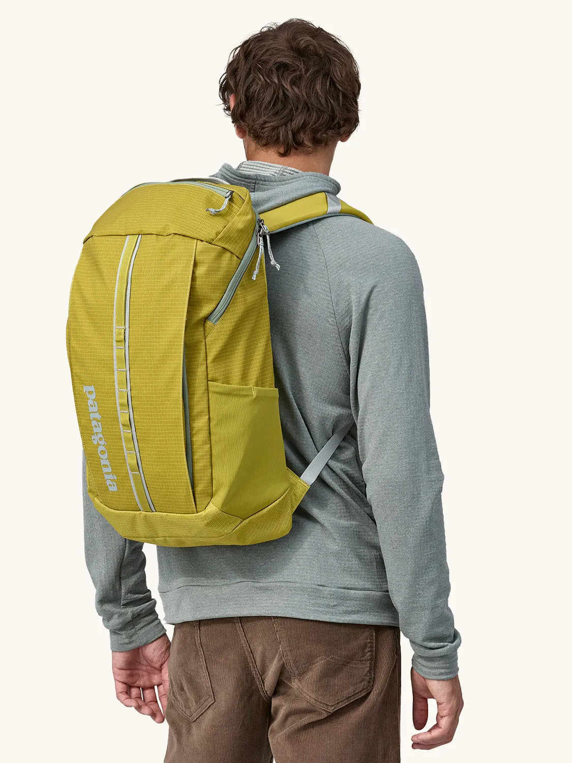 Patagonia Black Hole Backpack 25L - Shrub Green