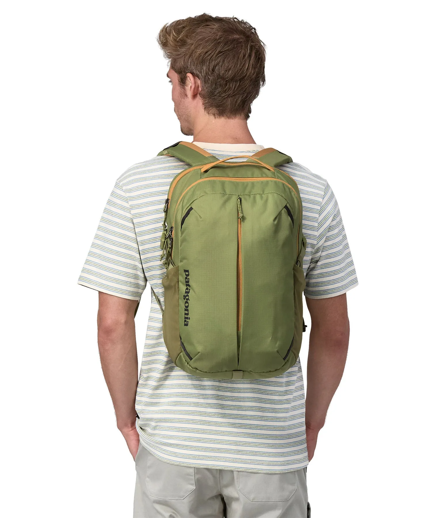 Patagonia Refugio Day Pack 26L - Buckhorn Green