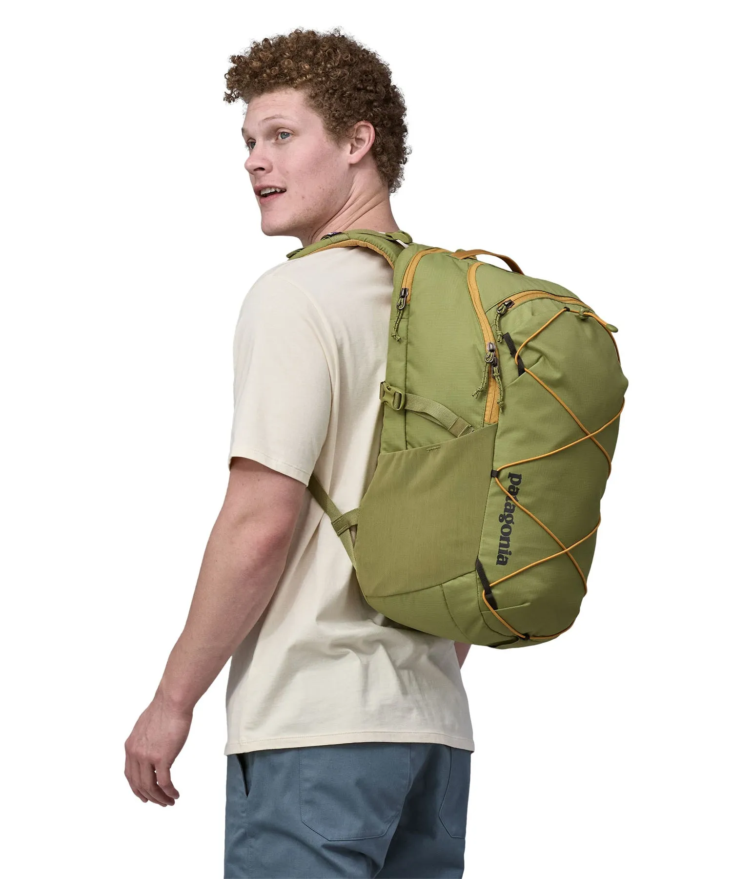 Patagonia Refugio Day Pack 30L - Buckhorn Green