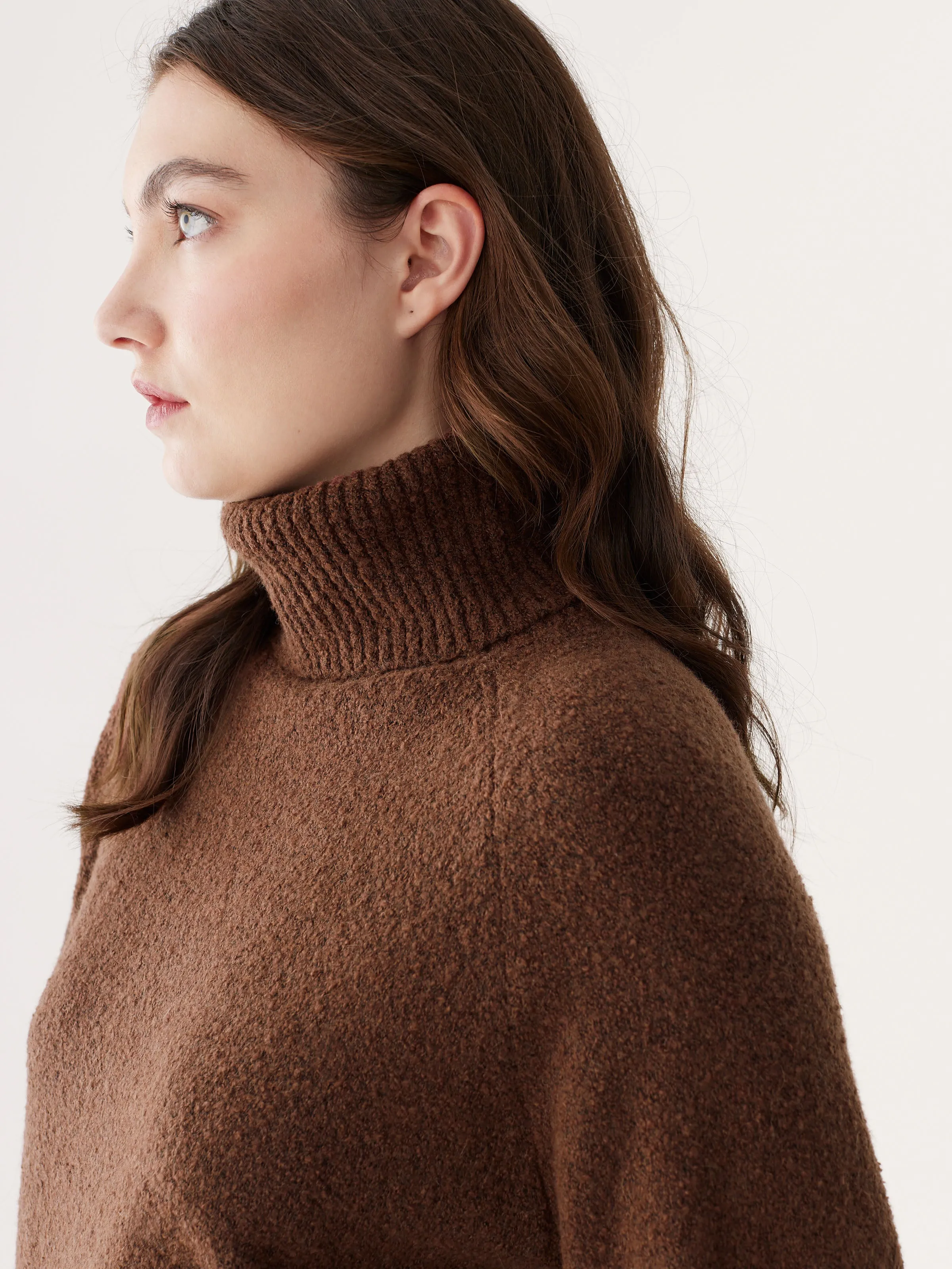 The Seawool Turtleneck in Cappuccino
